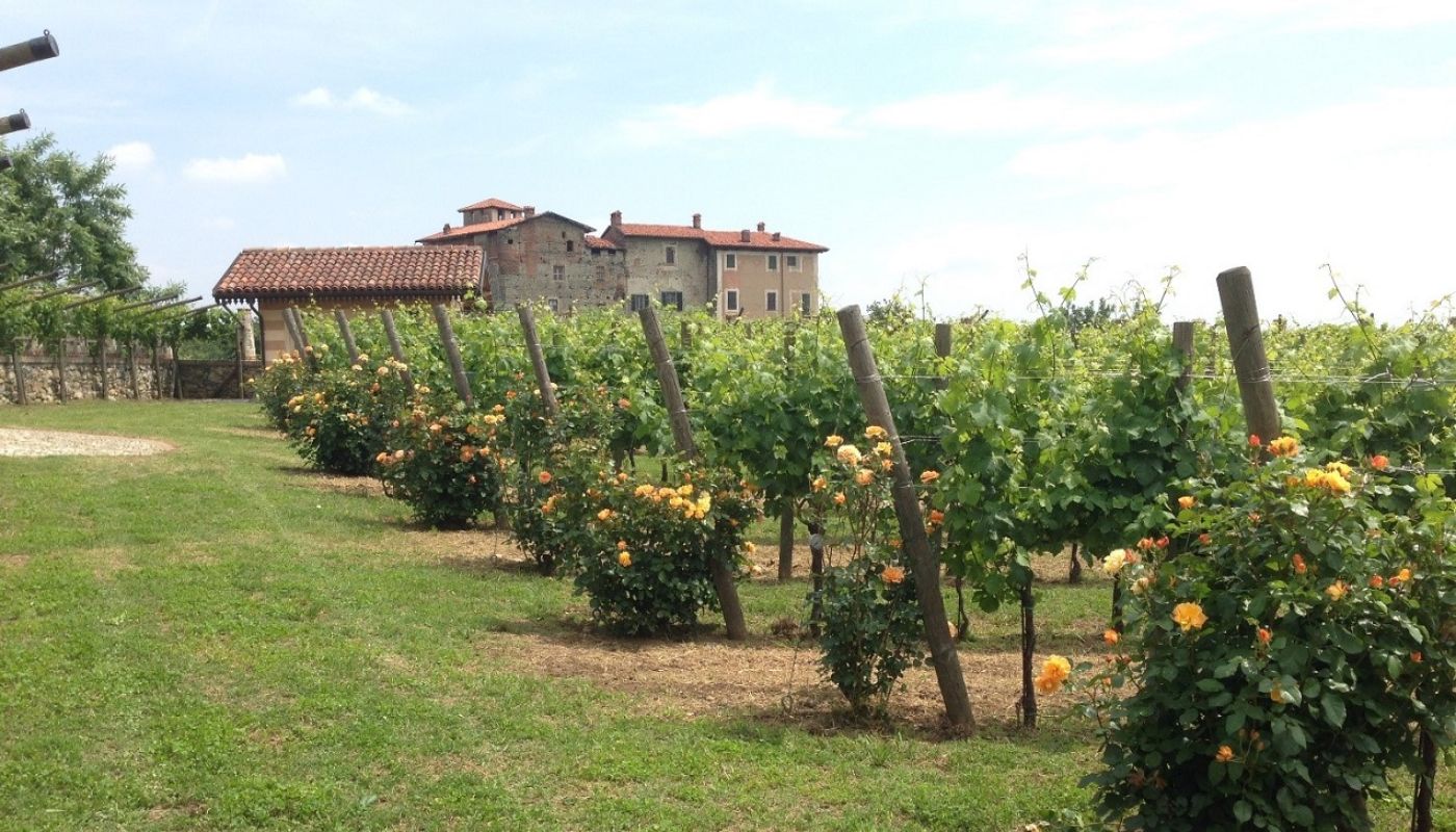 Tappero Merlo