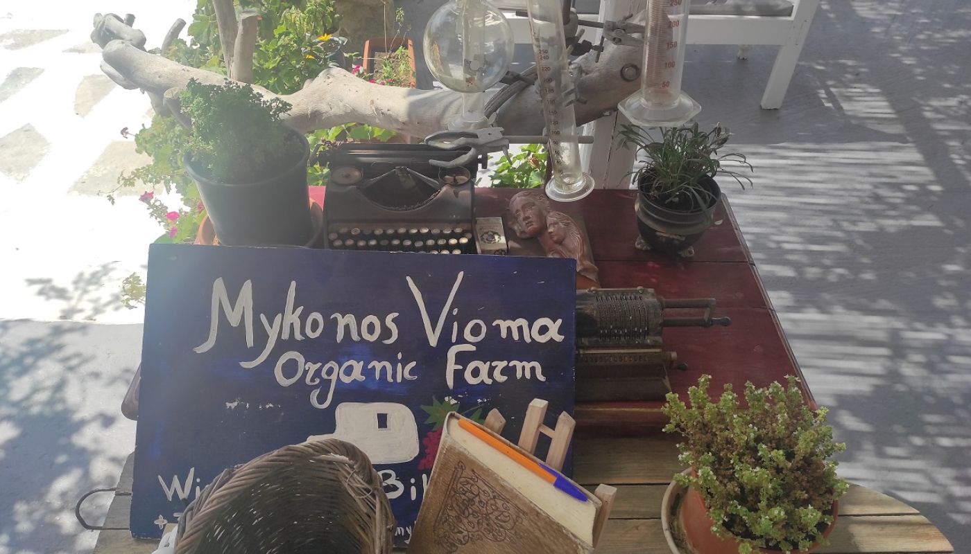 The welcome at reception to Vioma organic wine farm