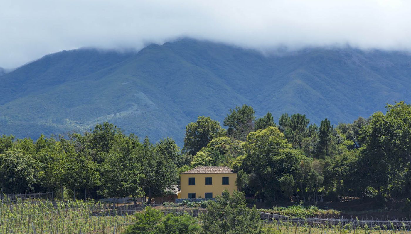 Quinta on Madeira