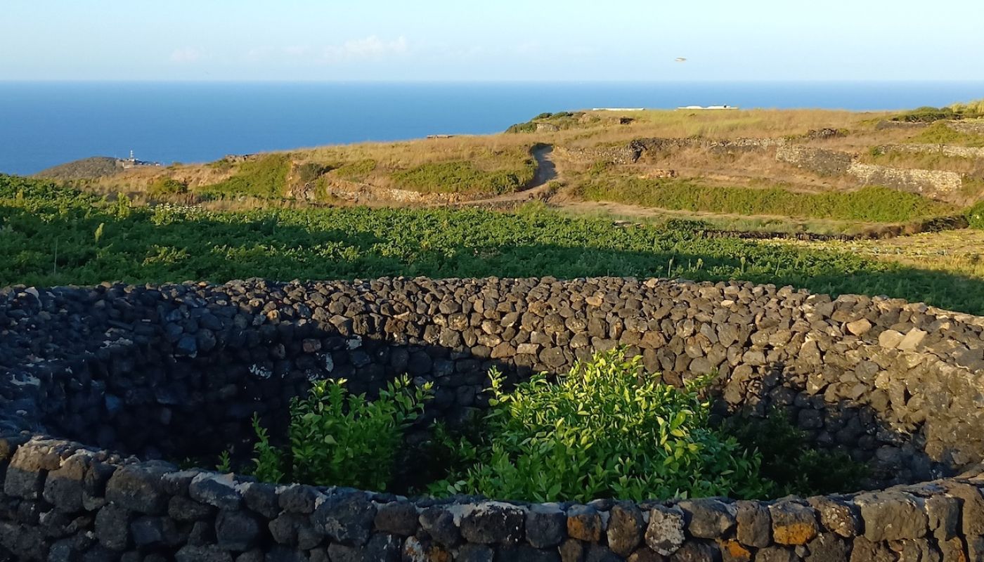 Pantelleria giardino and Mueggen contrada