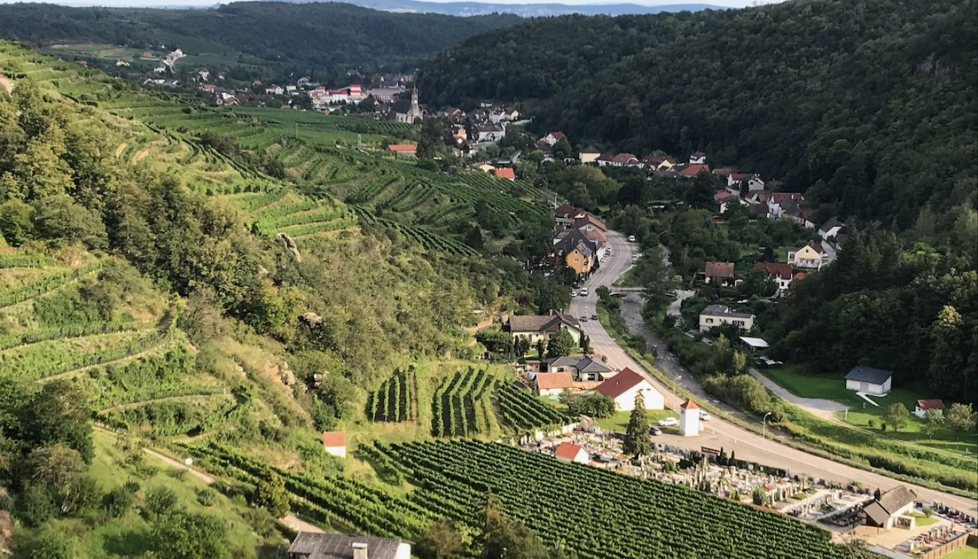 View from the ruined Senftenberg castle across the Pellingen vineyard to the town the town 