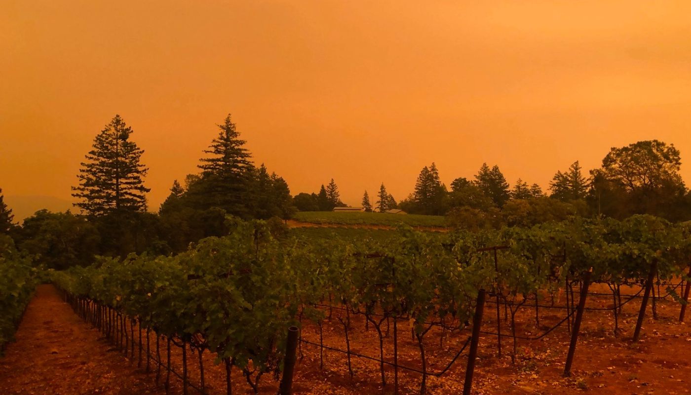 orange twilight seen from Lamborn Vineyards