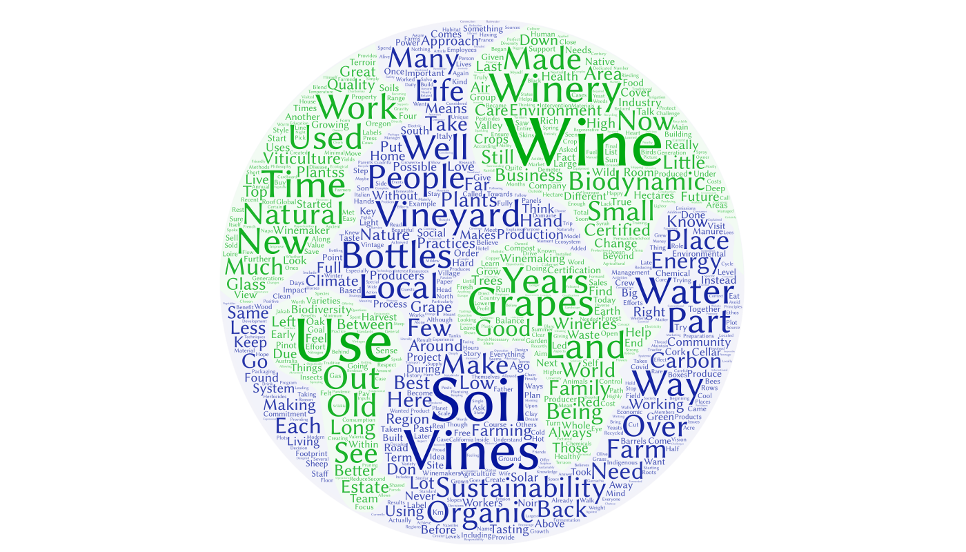 Sustainability word cloud
