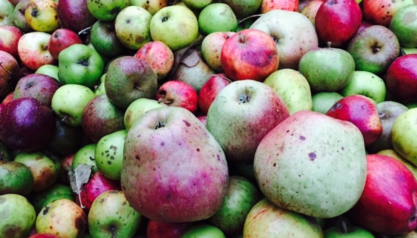 Cider apples red and green