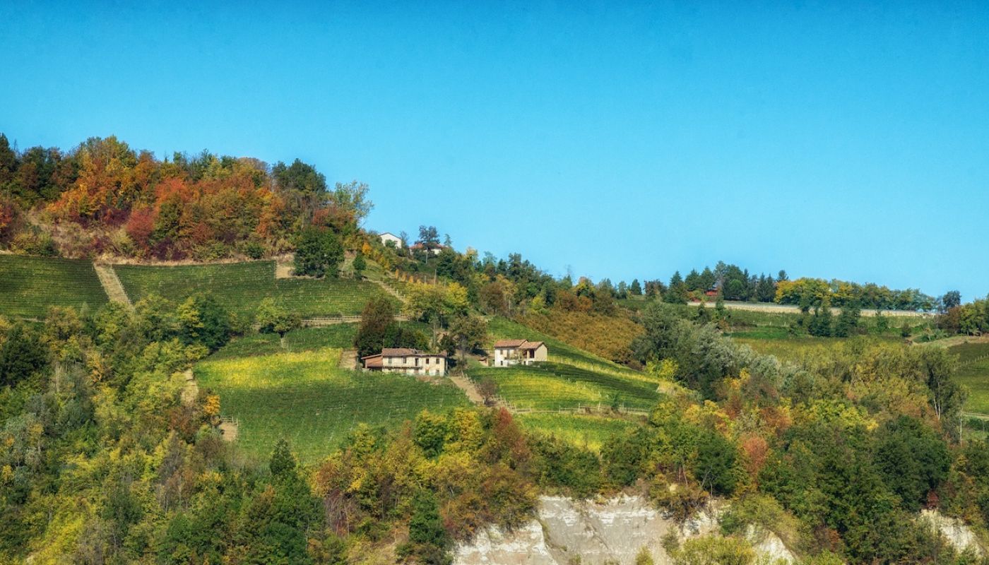 Le Strette's Pasinot vineyard of Nascetta in Piemonte