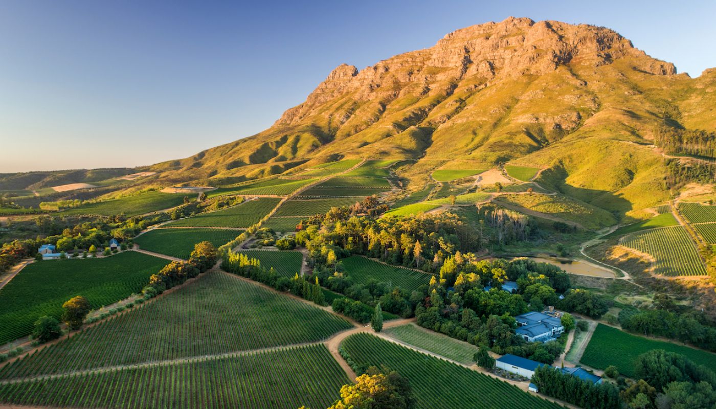 Thelema Mountain Vineyard in Stellenbosch, South Africa