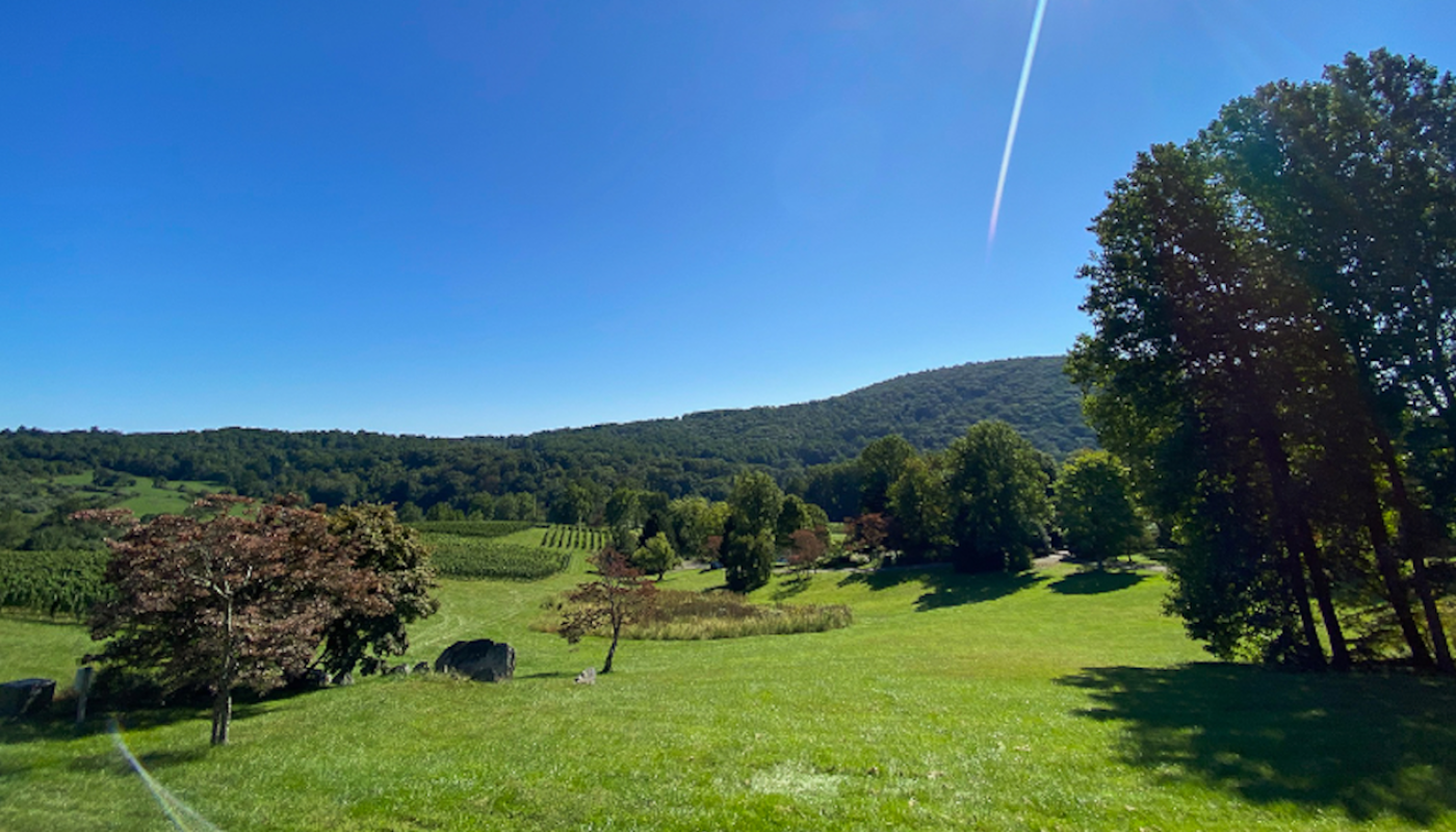View from Linden Vineyards, Virginia, US