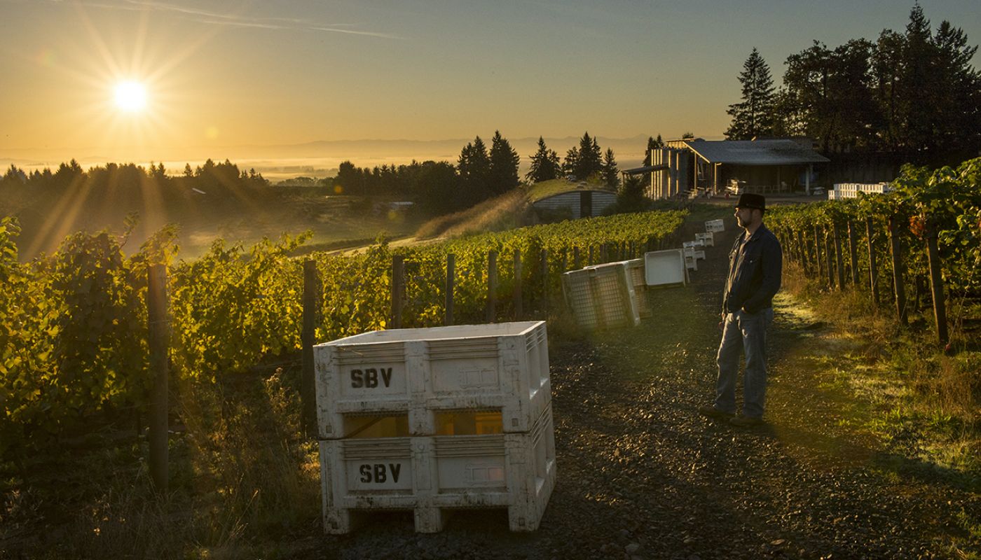 Alex Sokol of Sokol Blosser in Willamette Valley, Oregon by Andrea Johnson