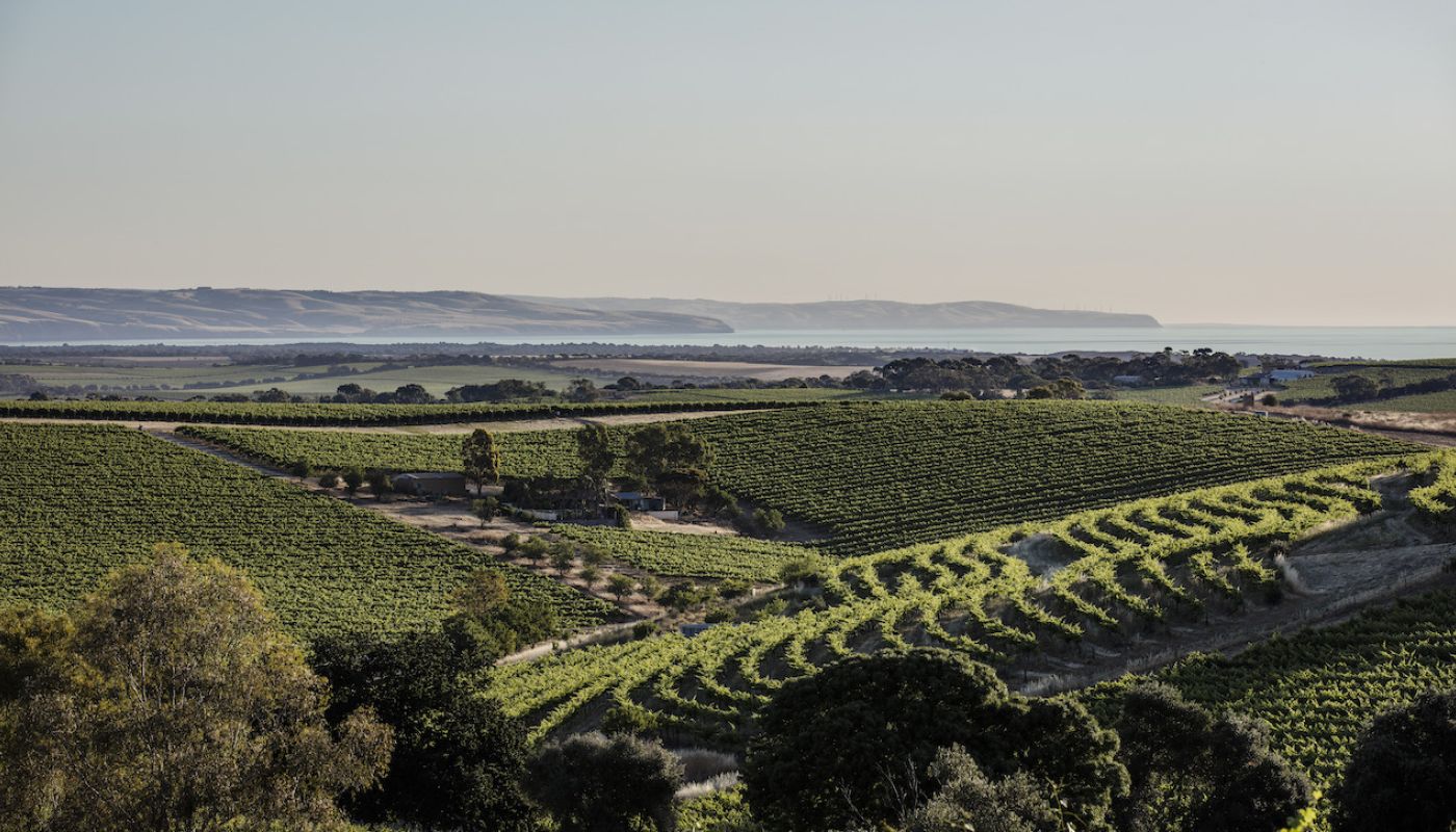 McLaren Vale and the ocean