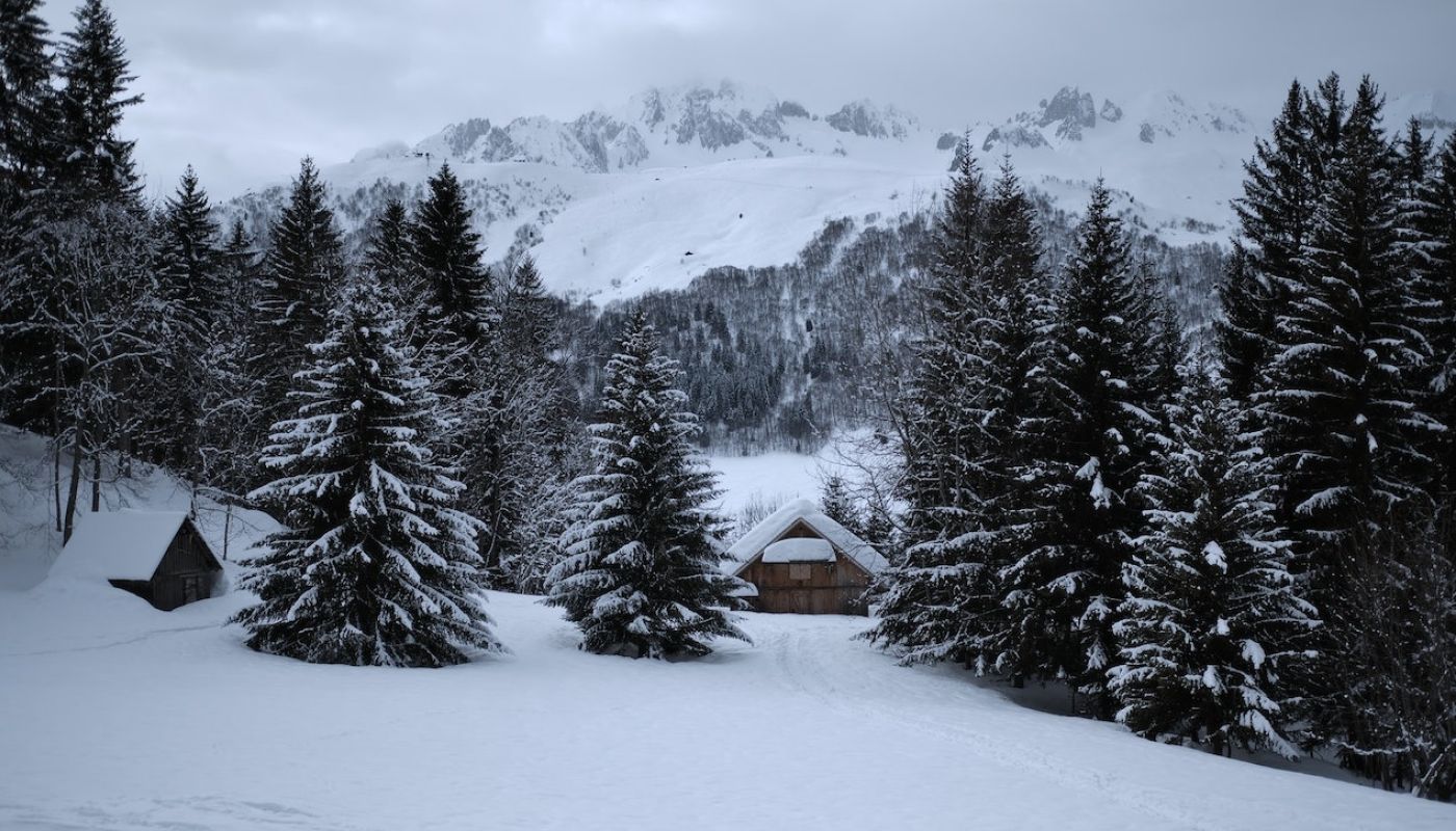 Cabin in woods and snow