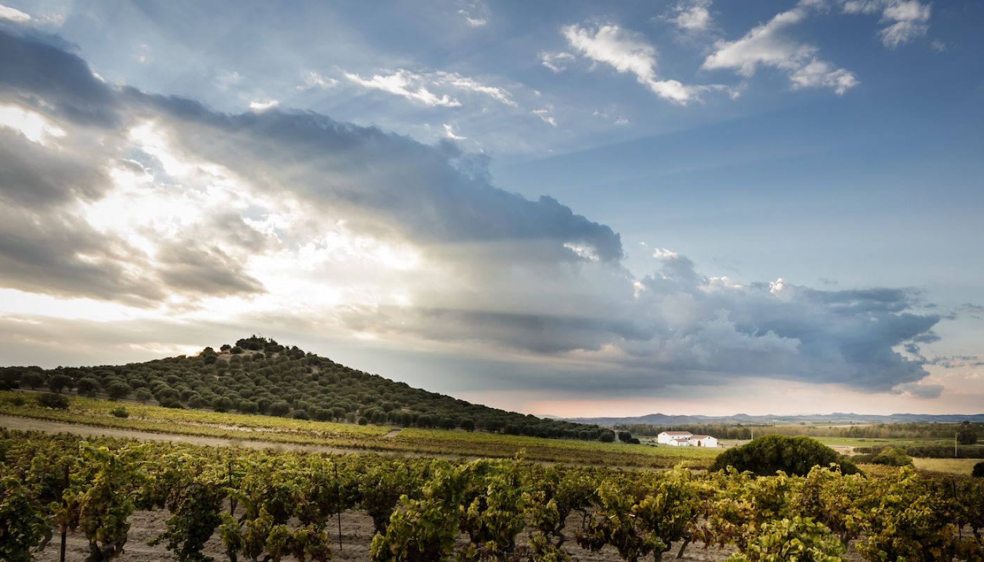Antonella Corda's winery in Sardinia