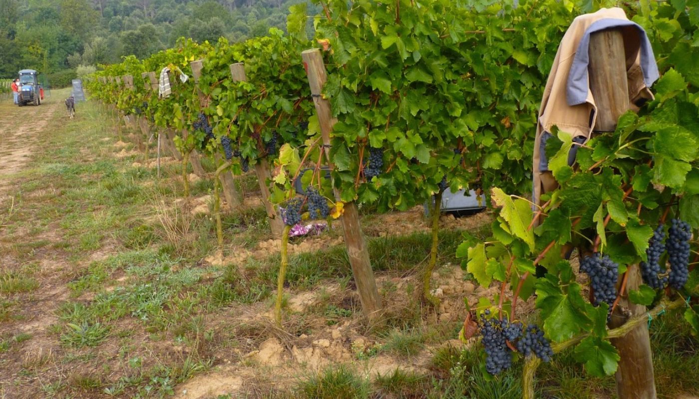 Sota el Angels in Empordà