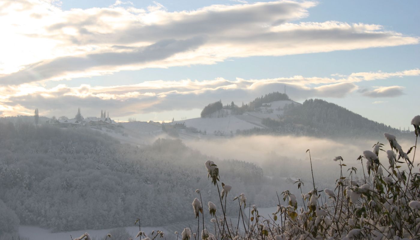 Sattlerhof vineyards in the snow
