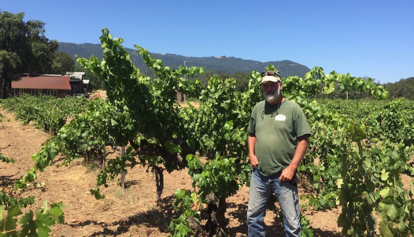 Will Bucklin, Sonoma vine grower