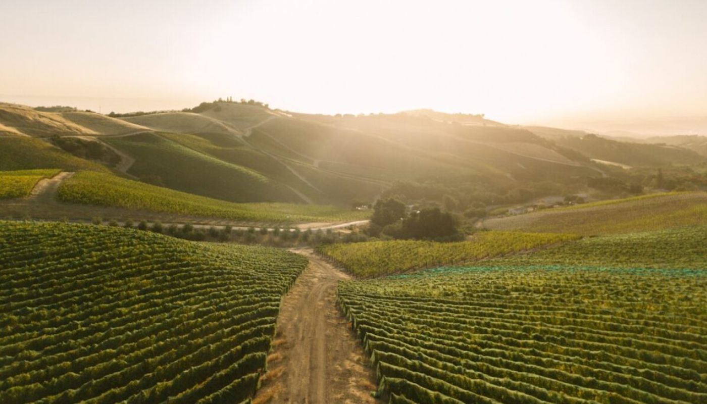 Daou vineyards in Paso Robles