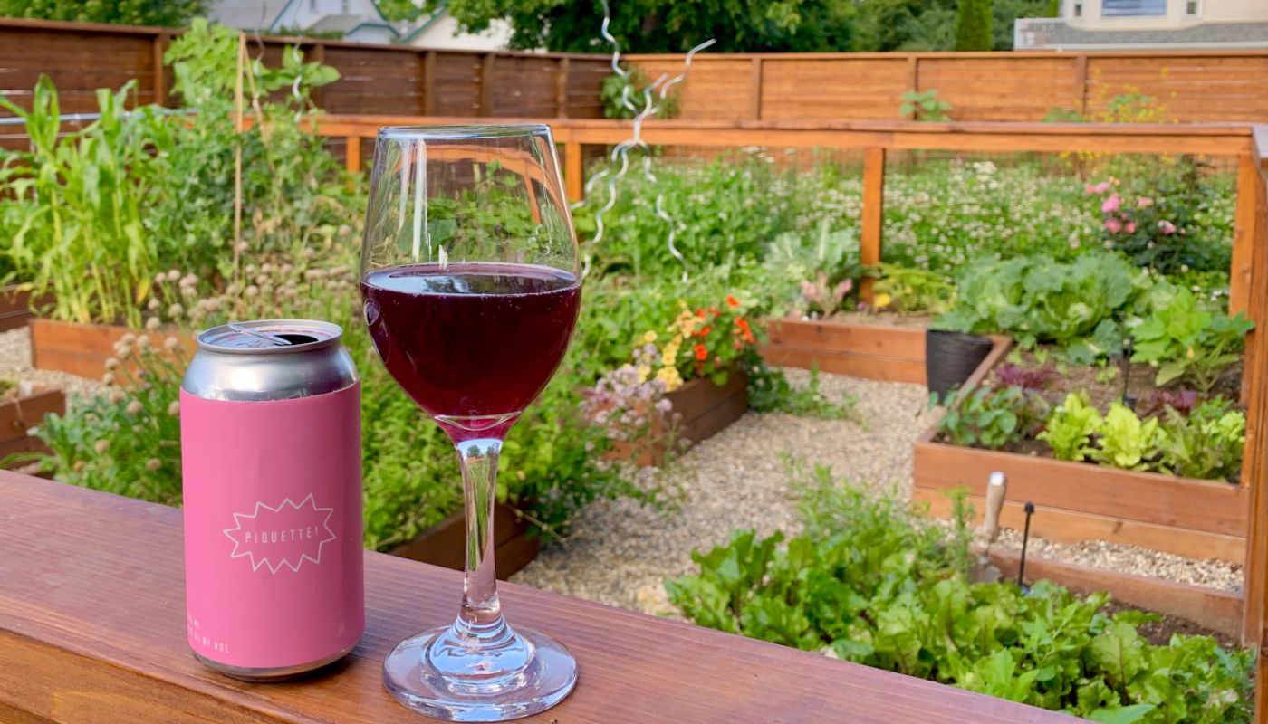 piquette in a BC garden