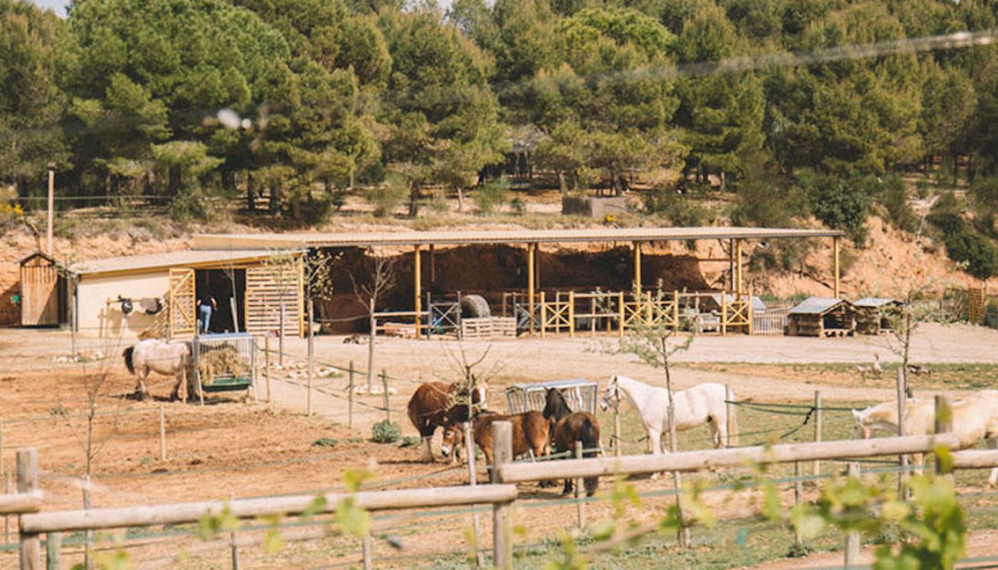 The farm at Gramona, Catalunya