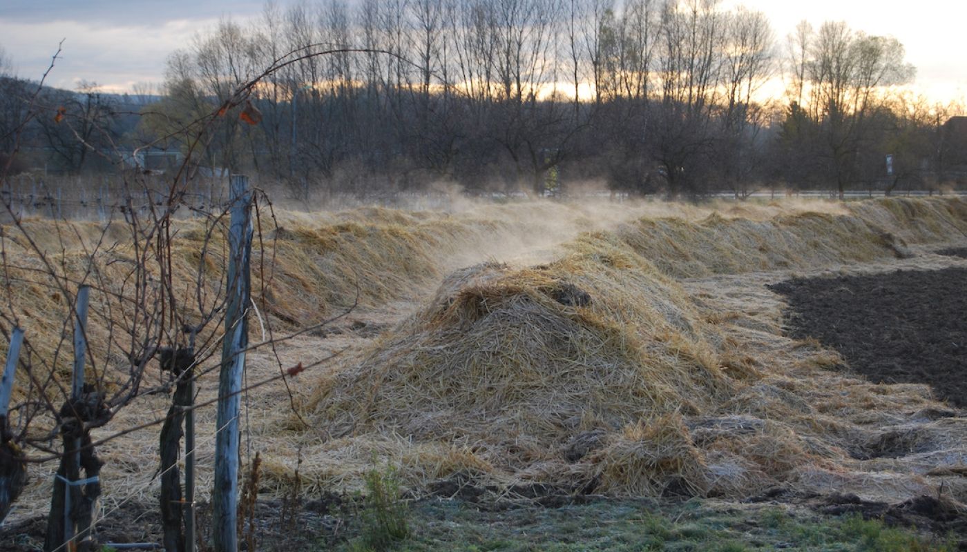 Biodynamic compost by Robert Herbst