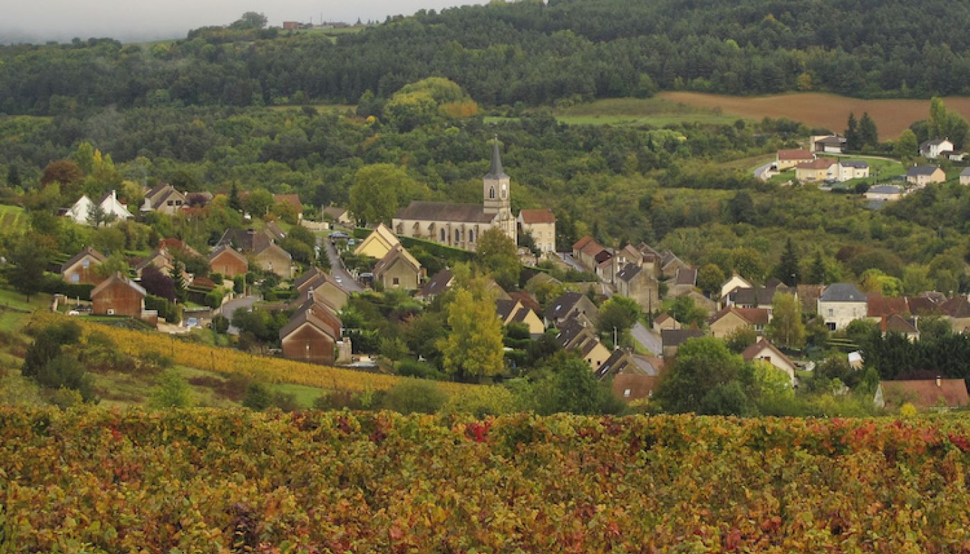 View of Arcenant village, including vineyards and church