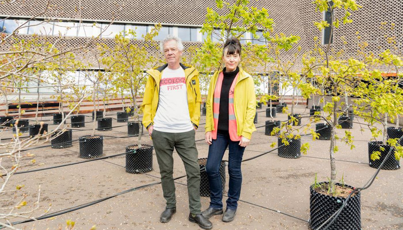 Ackroyd and Harvey with Beuys Oaks at Tate Modern