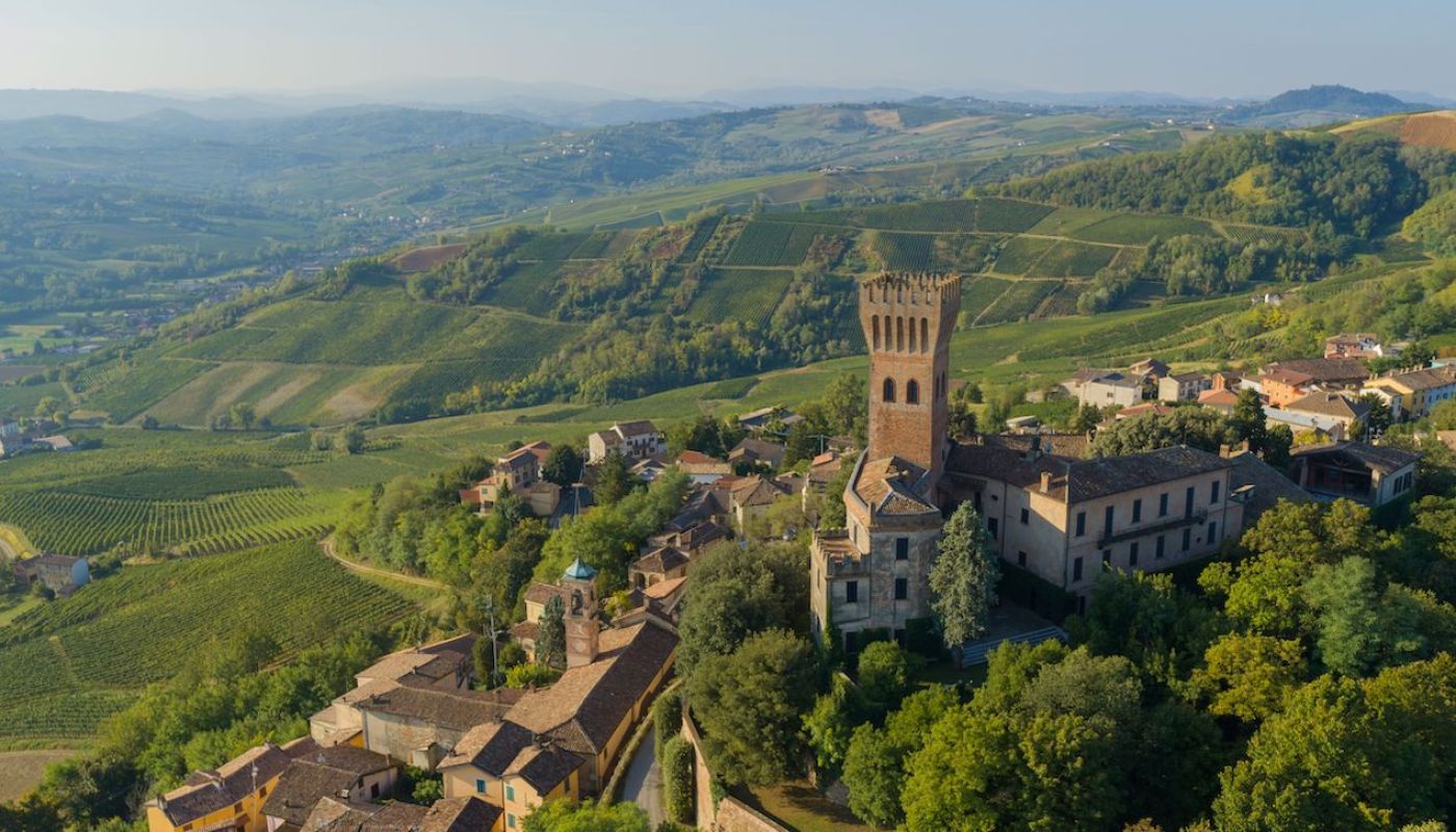 Castello Cigognola and vineyards