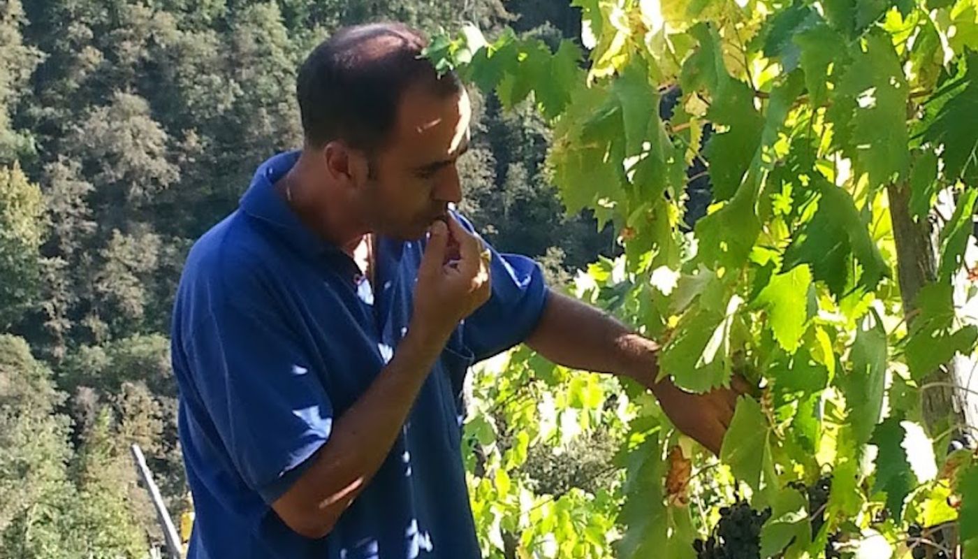 Maurizio Alongi in his Chianti Classico vineyard