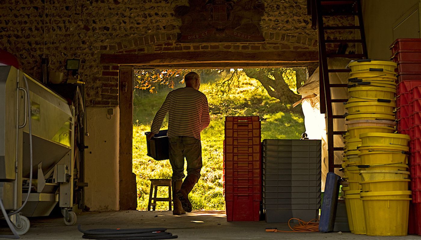Peter Hall of Breaky Bottom, Sussex