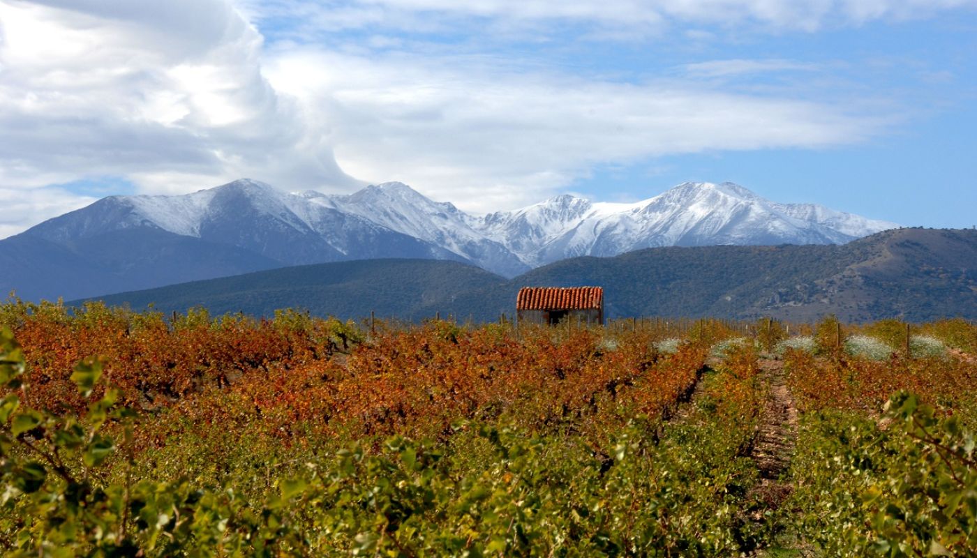 Les Aspres, Roussillon