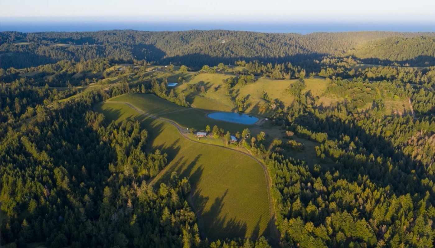 Ceritas vineyards in northern California