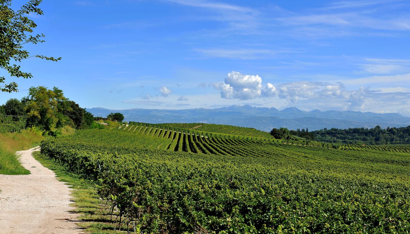 Custoza landscape