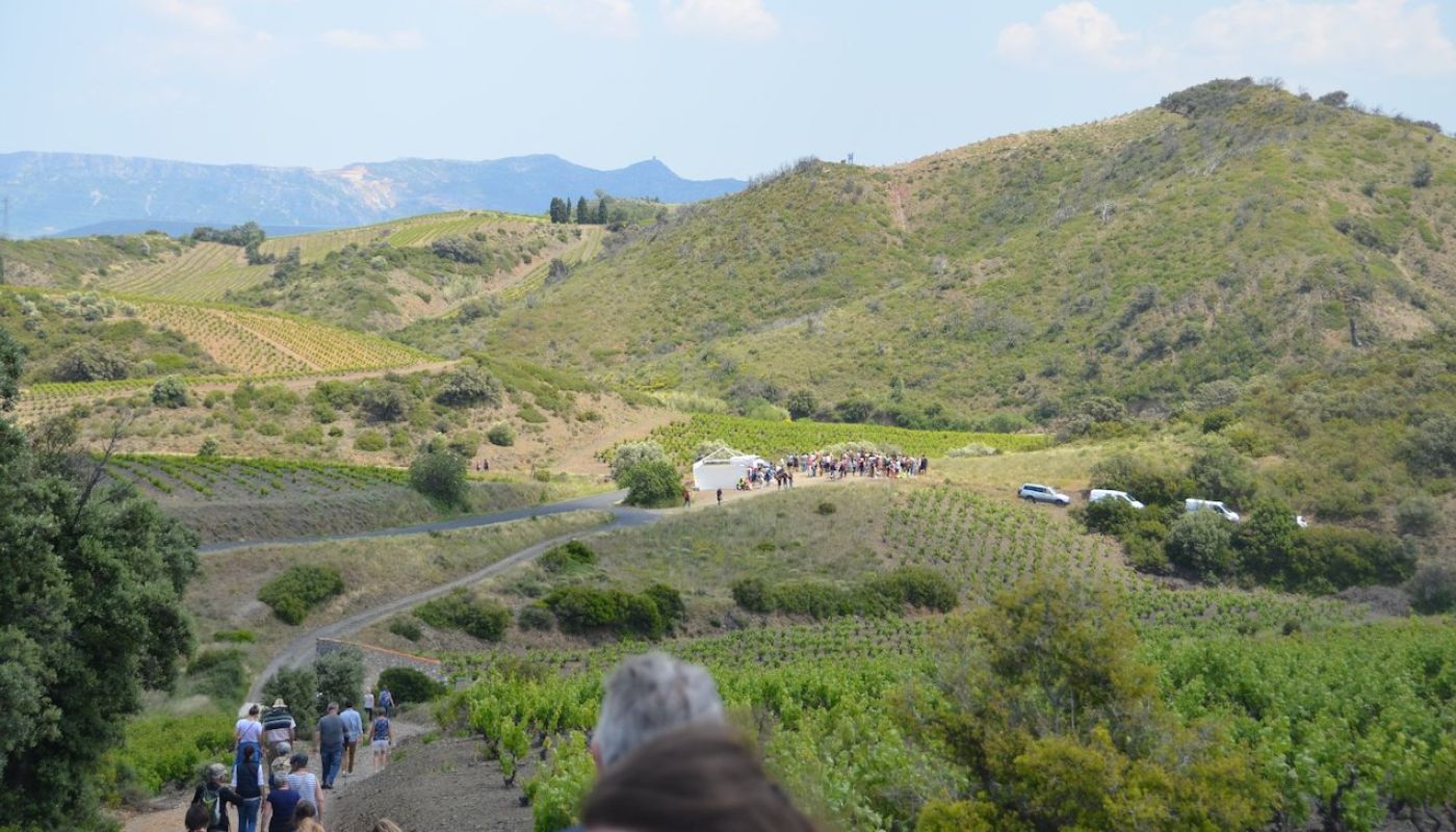 Walkers round Maury in Roussillon