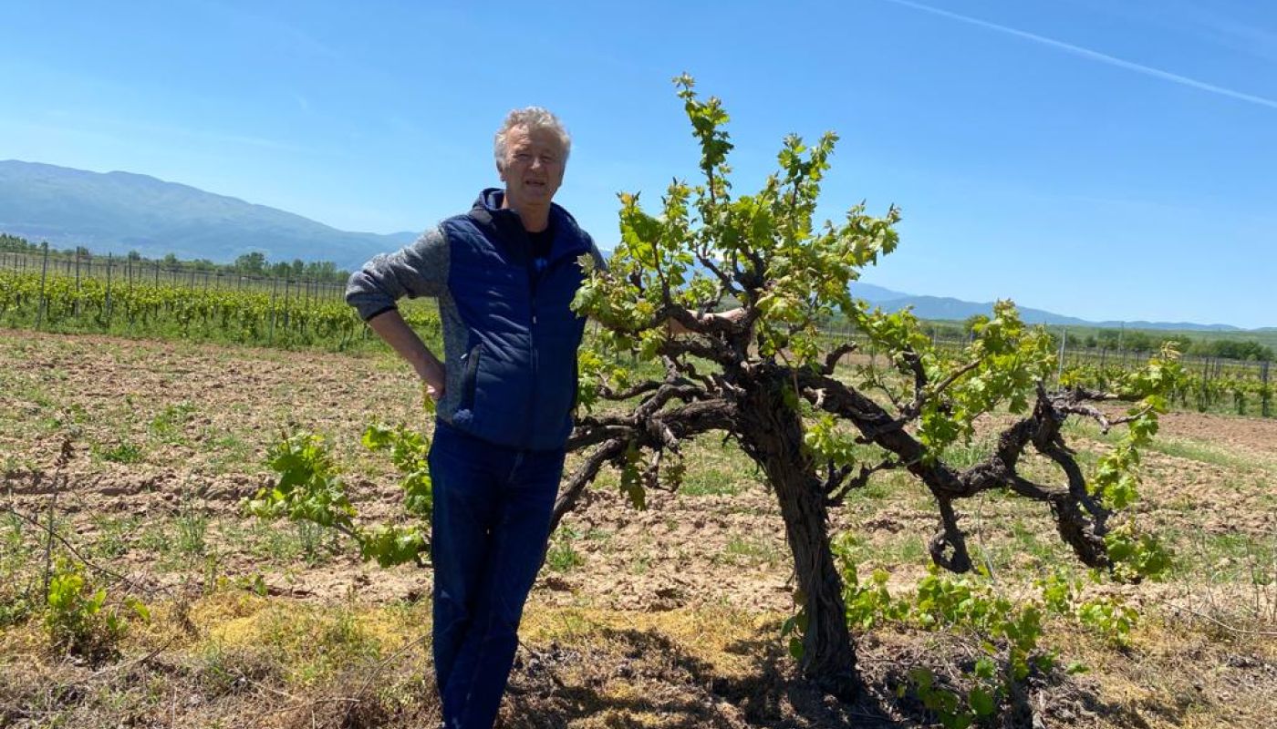 WWC21 Lyapova D - Michael Zehe and old vines