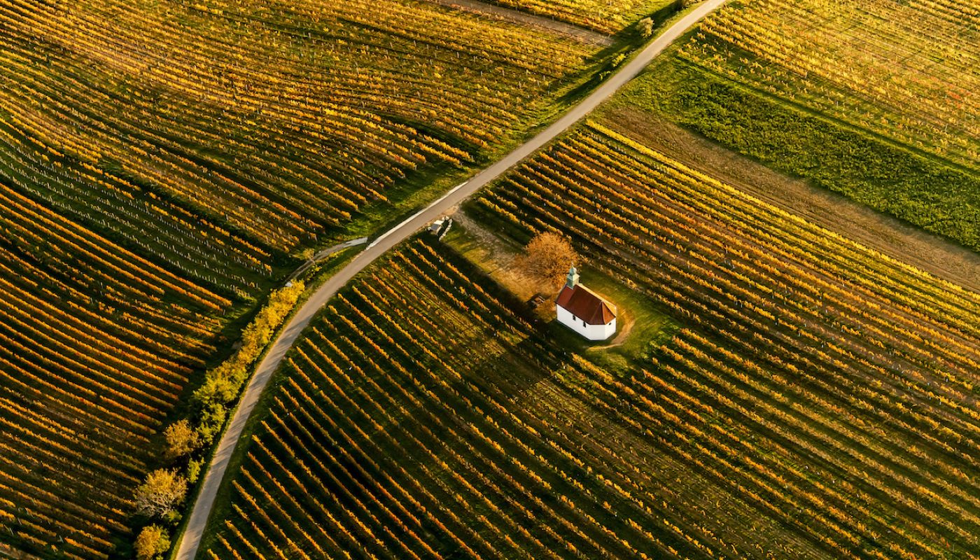 Neckenmarkt church in vineyards, Mittelburgenland