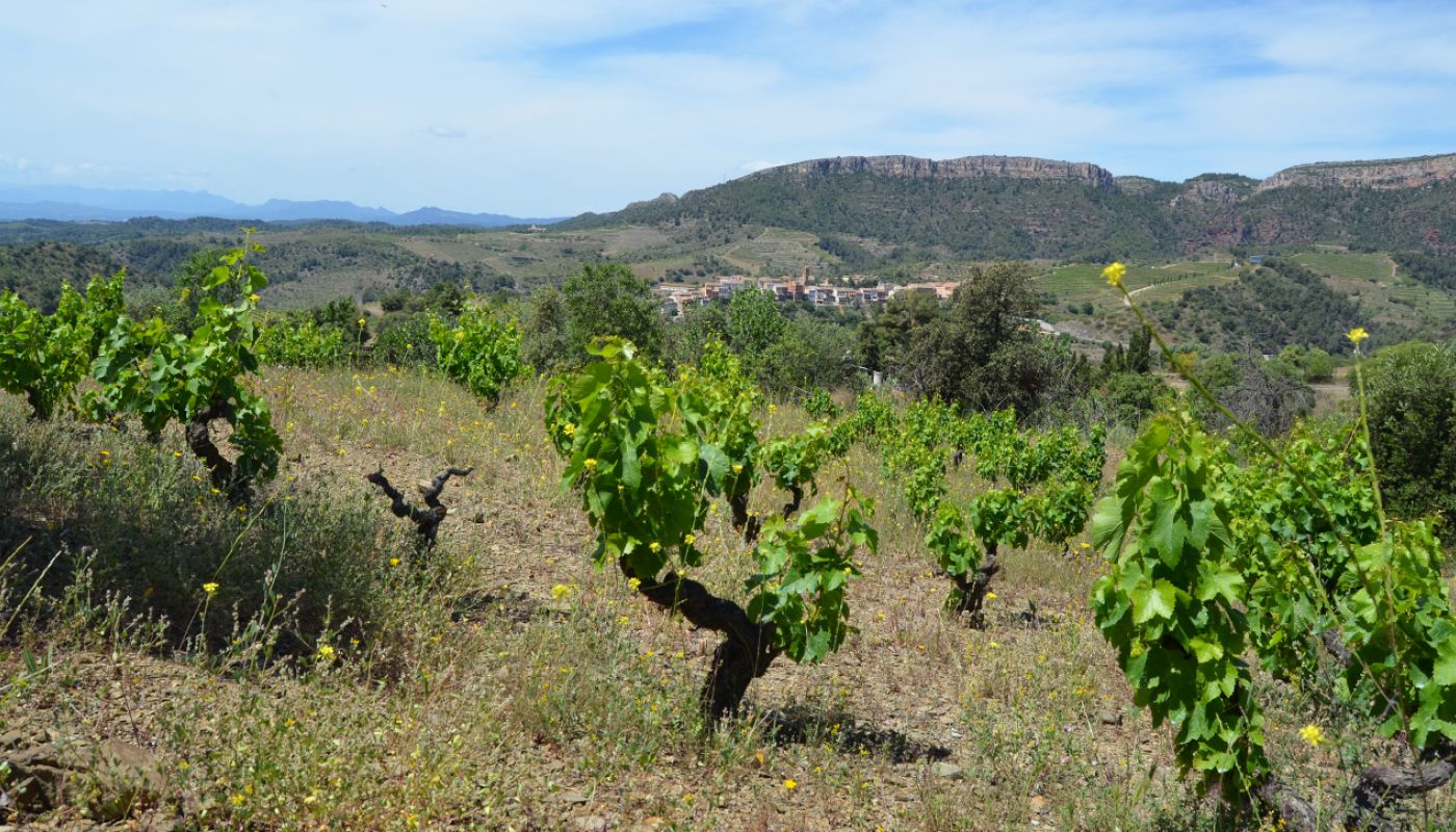 WWC21 Curovic S - Garnaxa del Po, Priorat 5