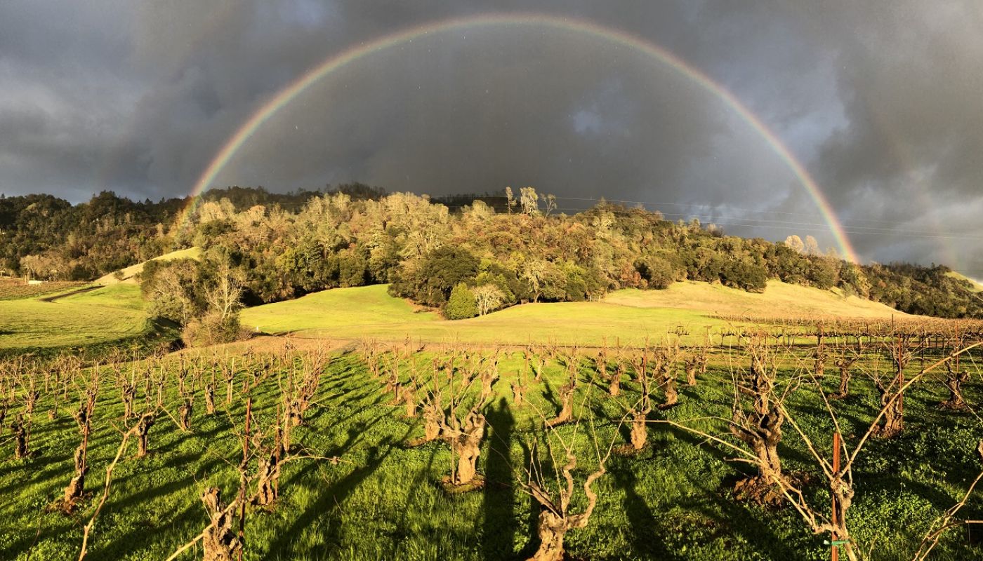 WWC21 Riley J - Rainbow over Scherrer Family Vineyard