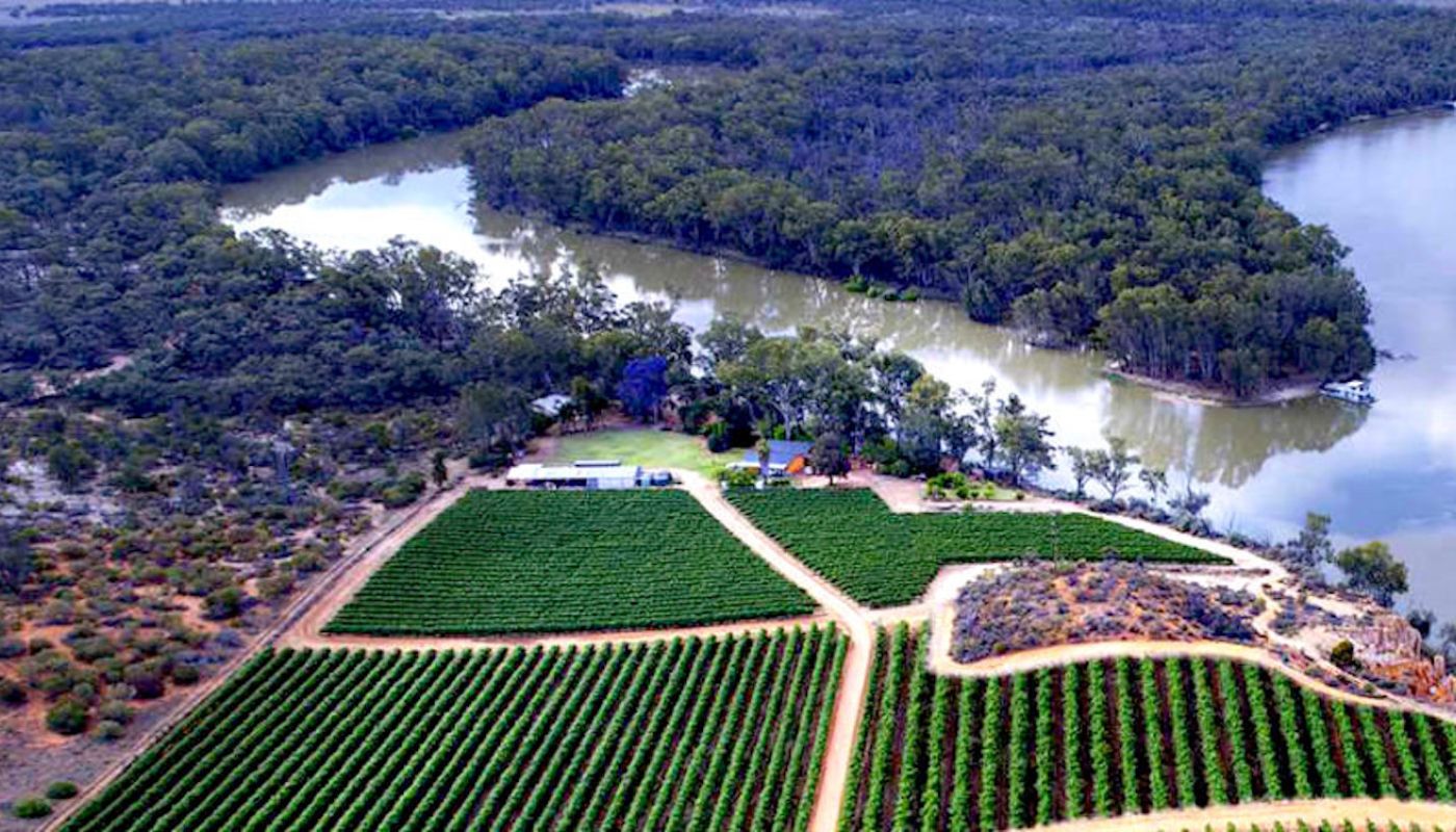 Riverland vineyards in the Australian interior