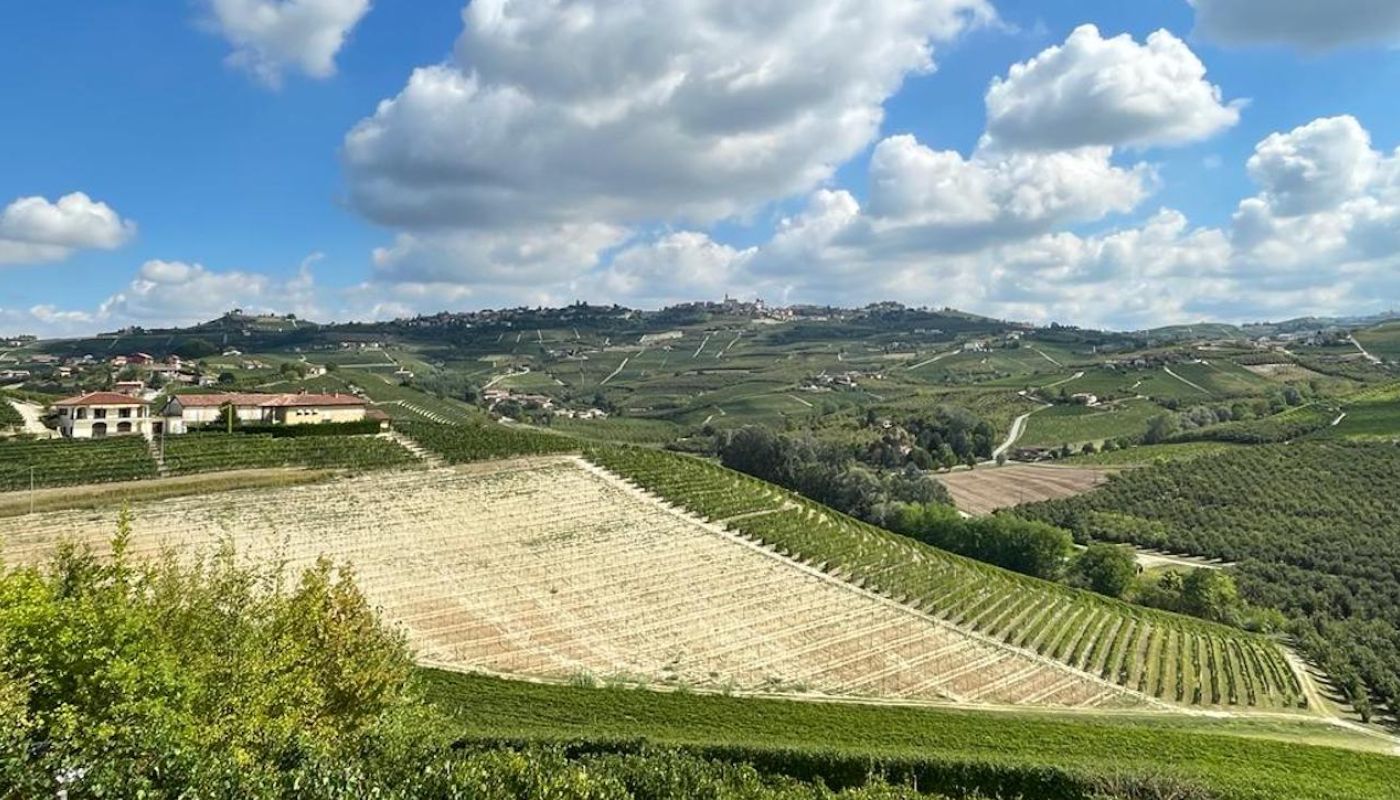 Gustava vineyard in Barolo