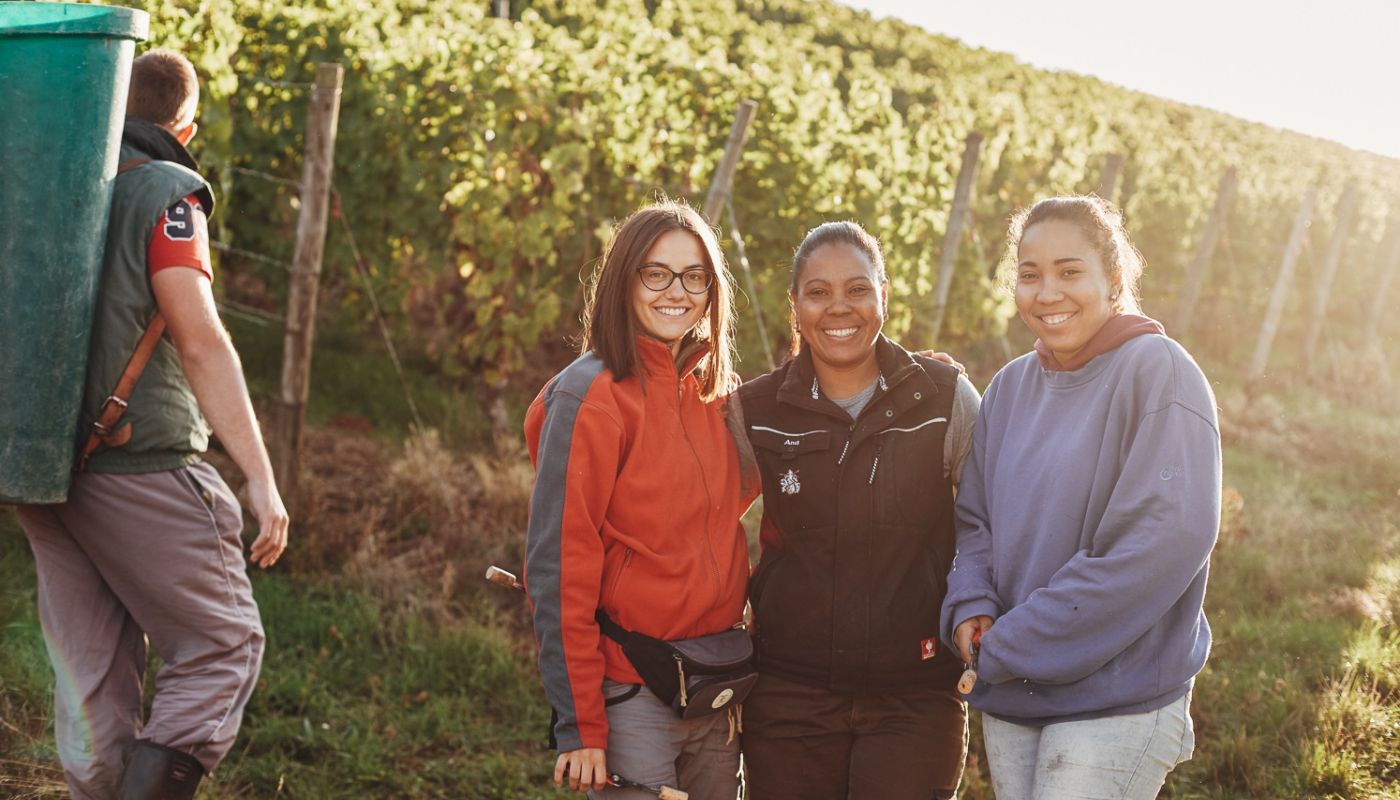 Weingut Dönnhoff harvest workers