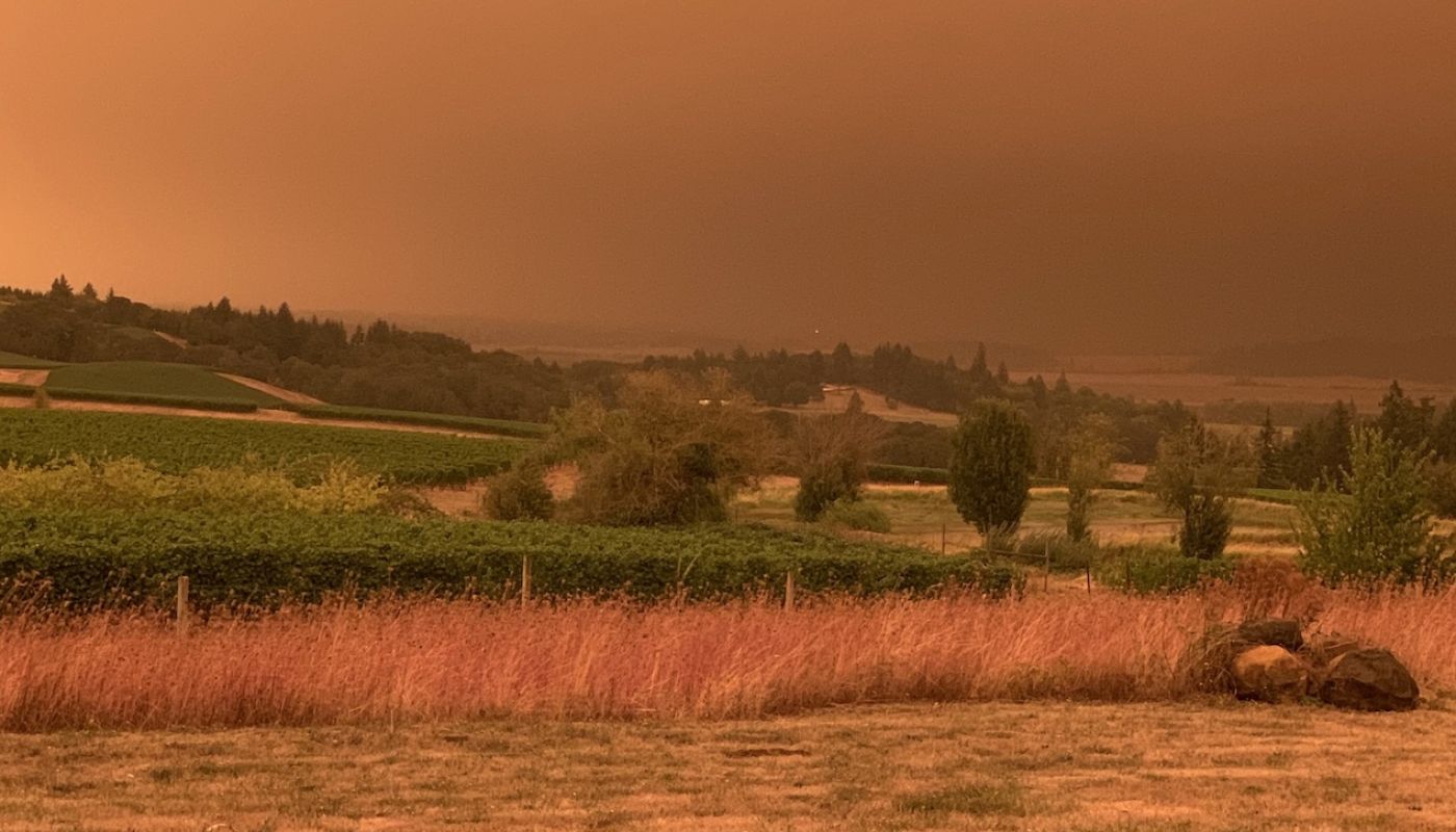 Fire seen from Walter Scott, 8 September 2020