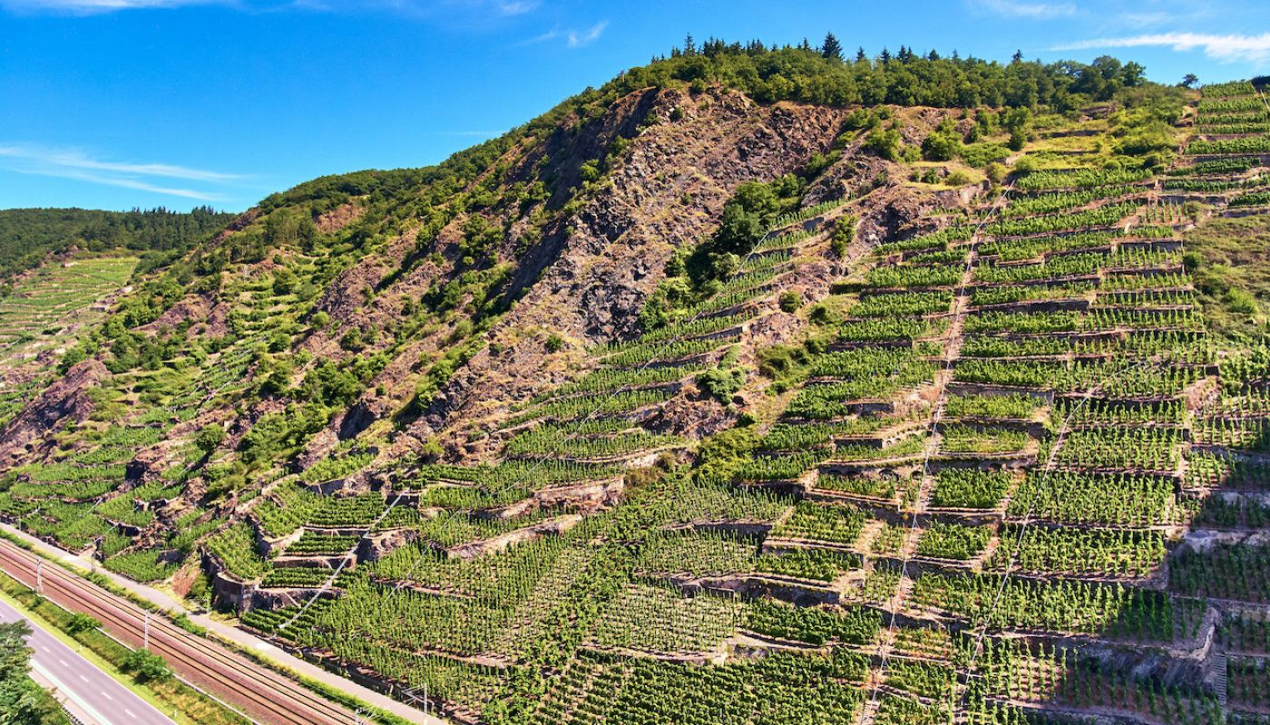 Uhlen Blaufüsser Lay vineyard in Winningen photo credit VDP