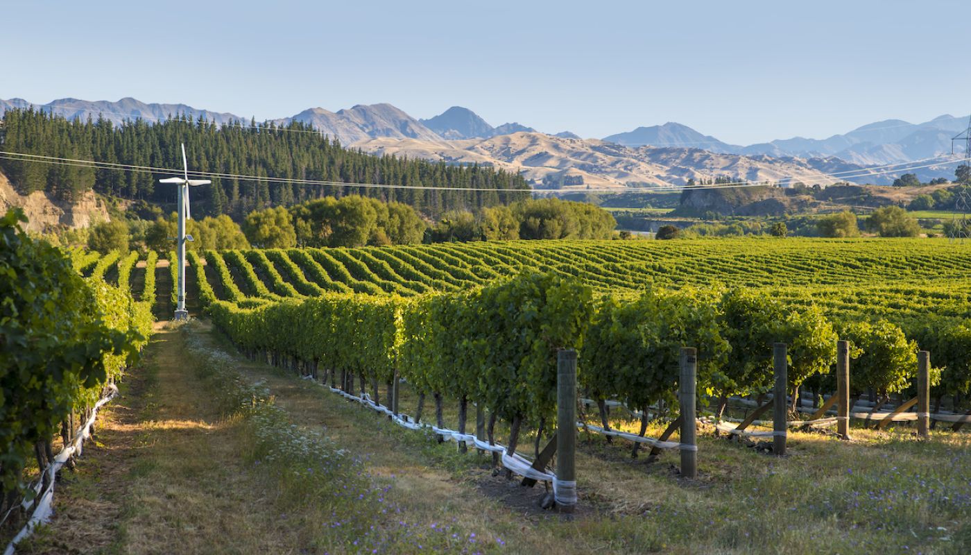 Awatere Valley via New Zealand Winegrowers