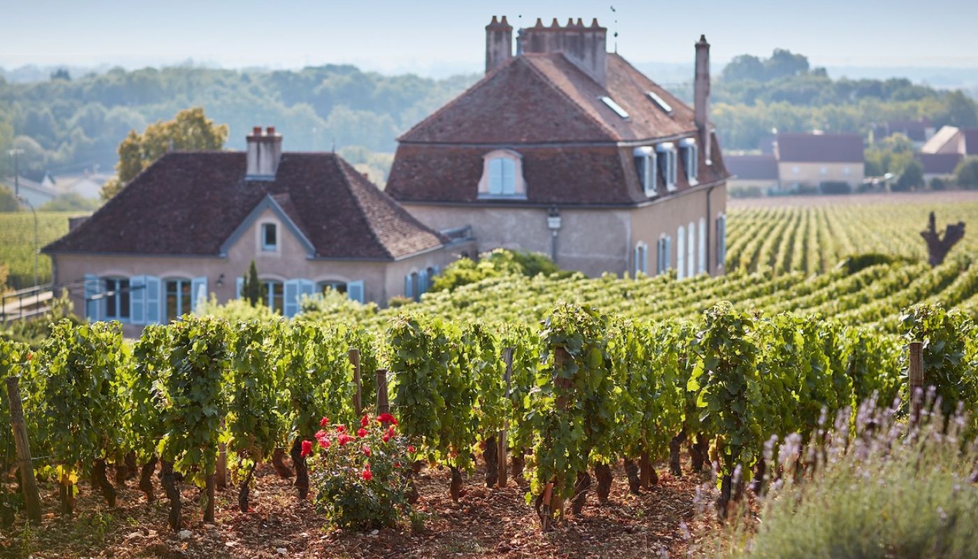 Domaine de l'Arlot by Serge Chapuis 2017