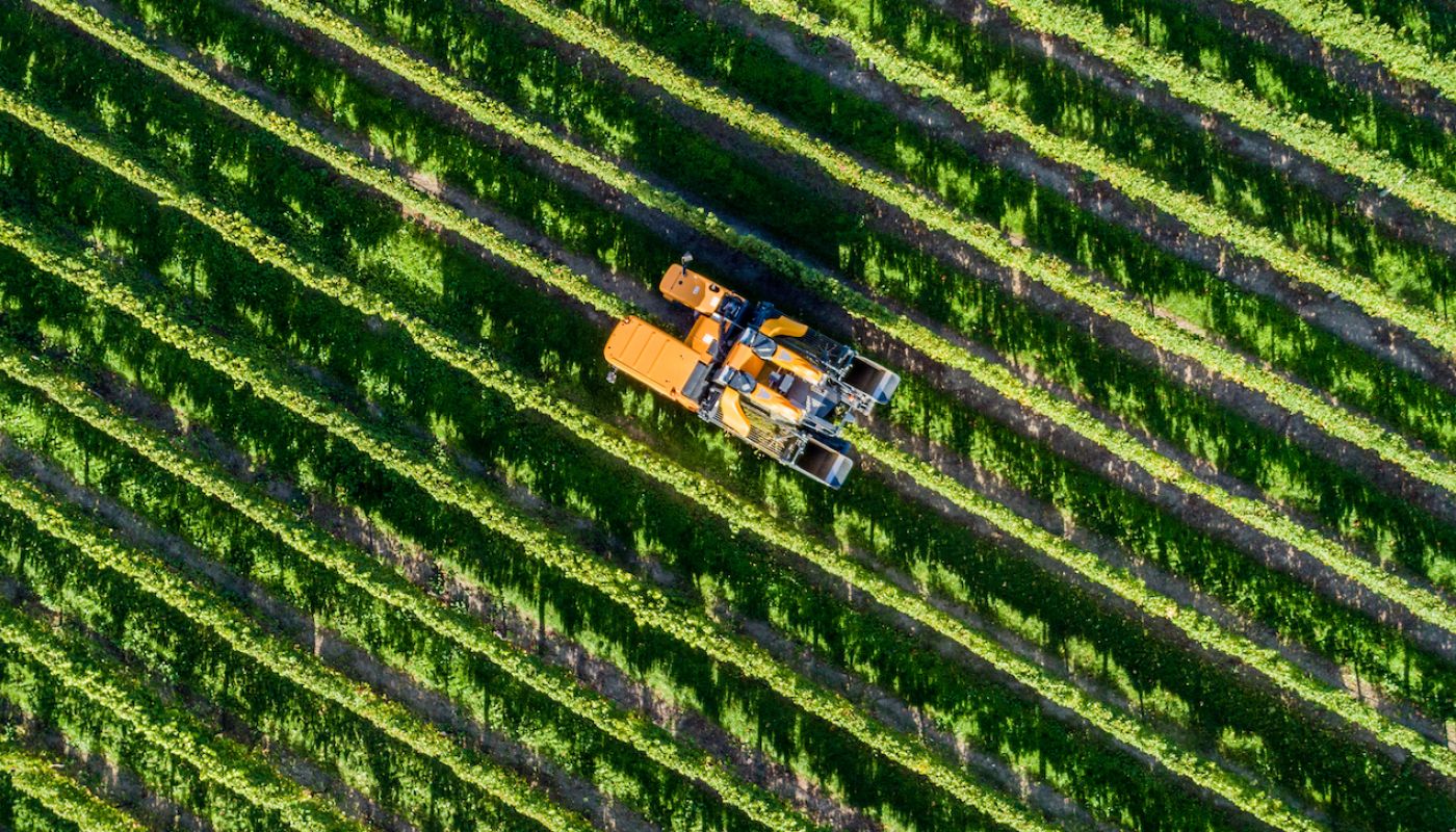 Mechanical harvester in Marlborough