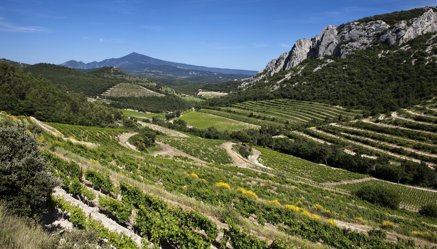 Varied landscape of AOC Gigondas picture © Christophe Grilhé