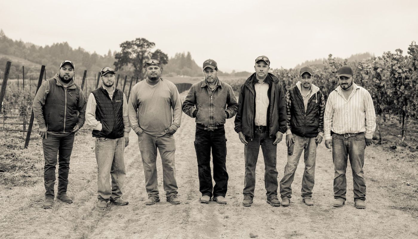 Larkmead vineyard crew