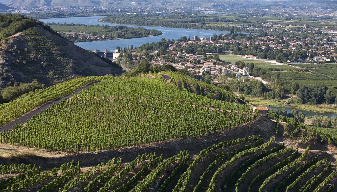 River Rhône viewed from St-Joseph vineyards © Christophe Grilhé