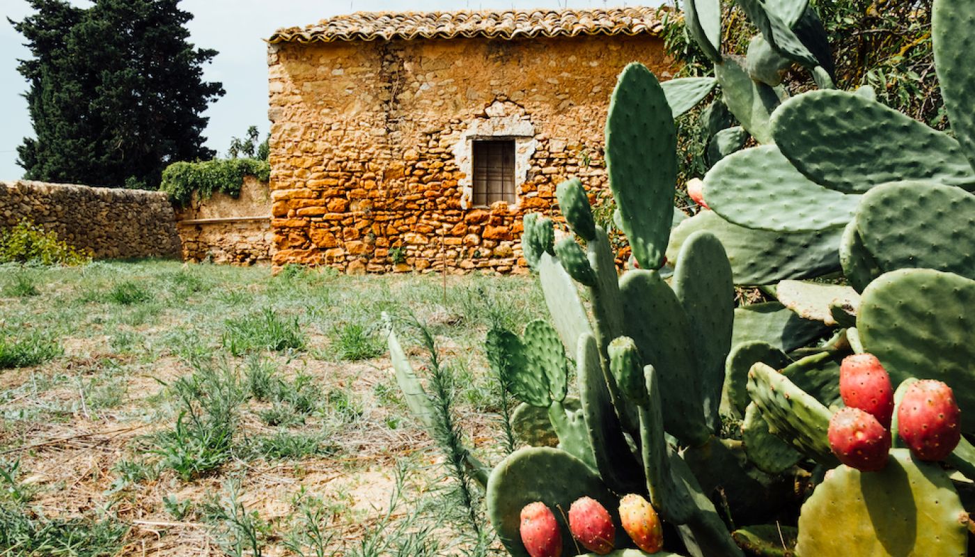 Santa Tresa Vittoria