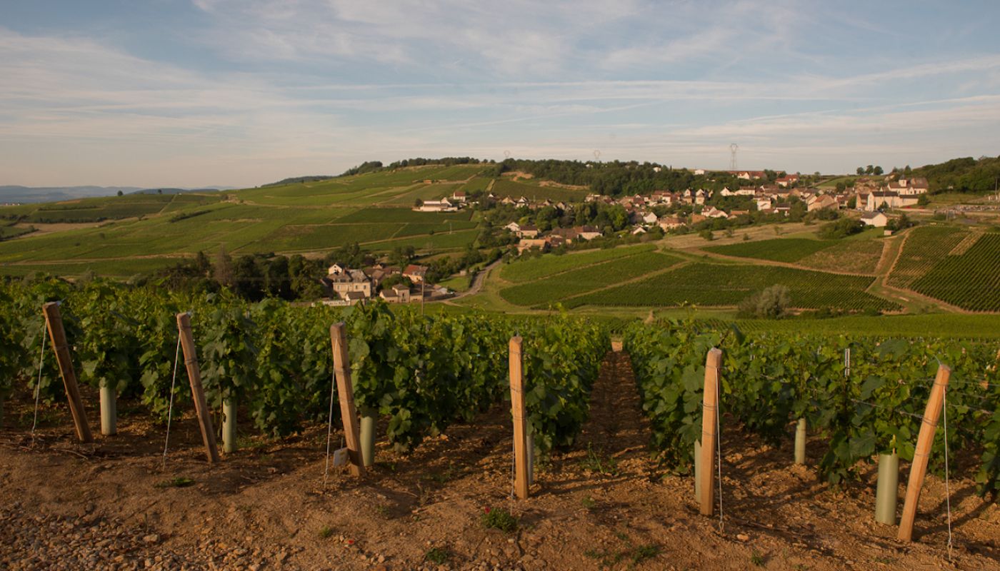 Montagny