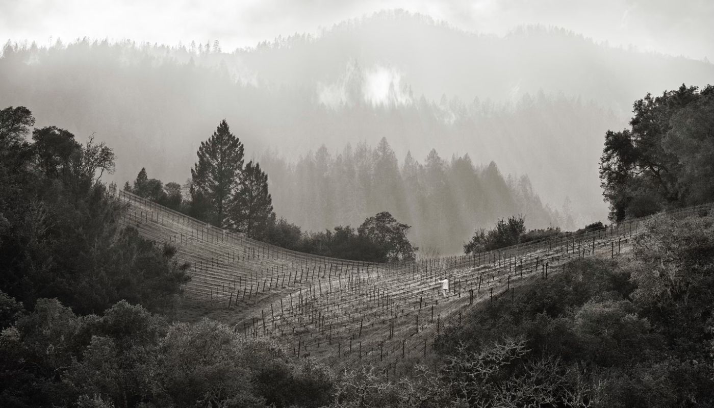 Perspective shot of Promontory vine master Jesus Villa