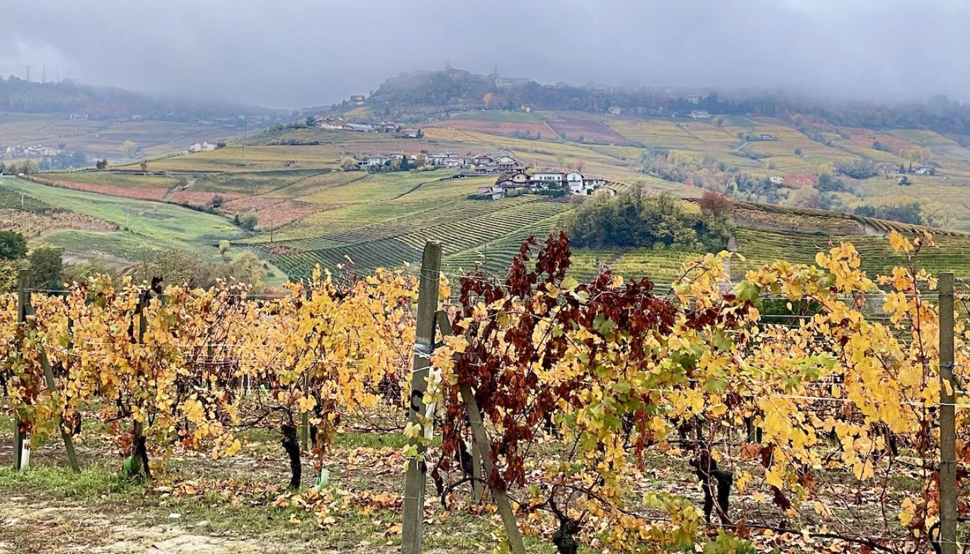 View towards La Morra
